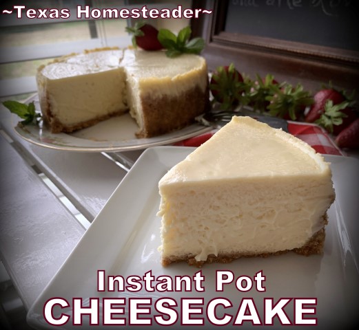 Making Instant Pot Cheesecake turns a finicky dessert into pure simplicity. Come see this easy cheesecake recipe cooked in an Instant Pot. #TexasHomesteader