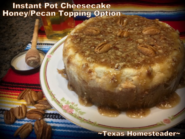 Making Instant Pot Cheesecake turns a finicky dessert into pure simplicity. Come see this easy cheesecake recipe cooked in an Instant Pot. #TexasHomesteader