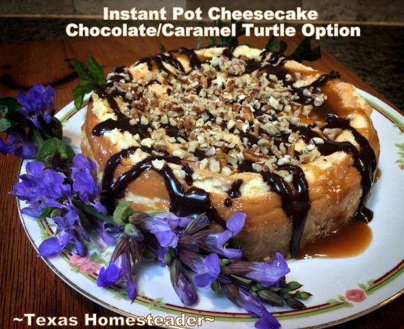 chocolate caramel turtle topping option. Making Instant Pot Cheesecake turns a finicky dessert into pure simplicity. Come see this easy cheesecake recipe cooked in an Instant Pot. #TexasHomesteader