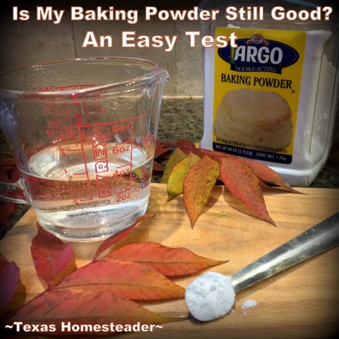 Testing Baking Powder and Soda  How to Do the Baking Soda Test