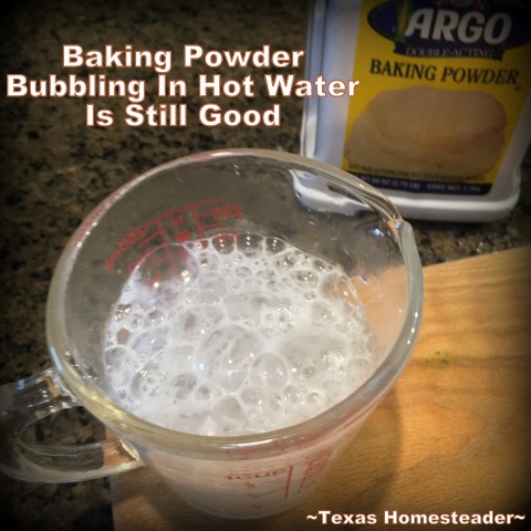 Do you wonder if that container of baking powder is still good? Here's a quick & easy test to show you whether it's safe to use or you should throw it out. This baking powder is still good. #TexasHomesteader