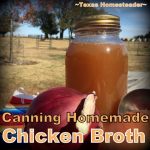 Canning homemade broth must be done in a pressure canner. But it's EASY! #TexasHomesteader