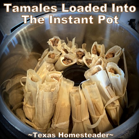 Instant Pot Tamales