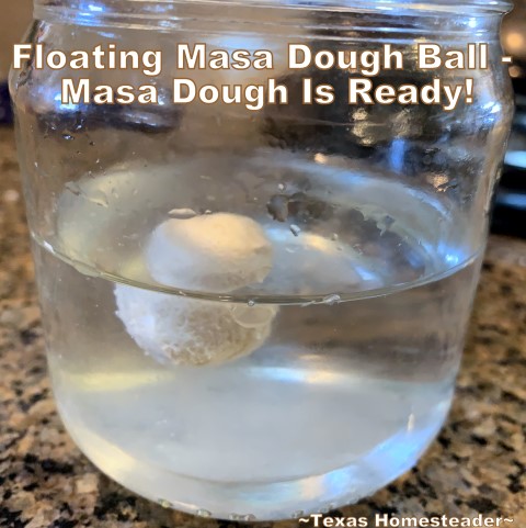 Masa floats when it's ready. It's time consuming to make homemade tamales. But it's very easy. Come see my step-by-step directions complete with photos and recipe. #TexasHomesteader