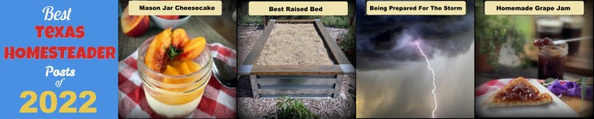 Top 10 Best Homesteading Posts of 2022 #TexasHomesteader