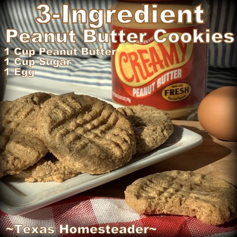 3 Ingredient Peanut Butter Cookies are quick & easy to make. #TexasHomesteader