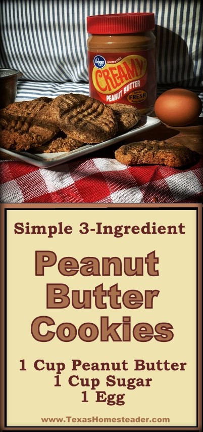 A peanut butter cookie recipe using only 3 ingredients: 1 egg, 1 cup peanut butter & 1 cup sugar. Homemade peanut butter cookies FAST! #TexasHomesteader