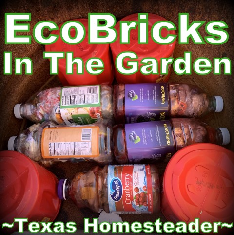 EcoBricks used in a large planter. Come see how we easily dispose of confidential documents without using a shredder. And that 'trash' actually serves a purpose! #TexasHomesteader