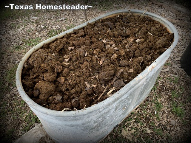 Planting tough topped with manure. EcoBricks are plastic bottles packed tightly with non-recyclable trash. They can be used for lots of things, but come see how I use them in the garden. #TexasHomesteader