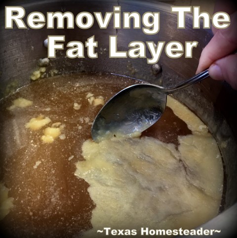 Skimming the fat away from my homemade broth. Instant Pot Broth is crazy-easy to make, y'all. Literally push-button convenience. Come see how I make and preserve it. #TexasHomesteader