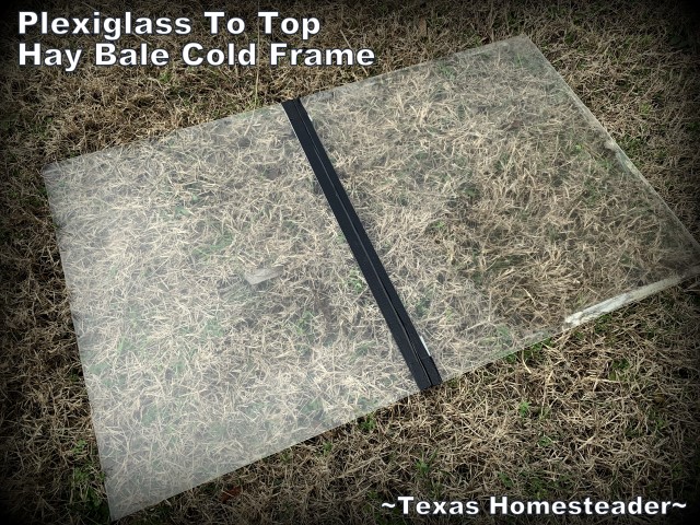 https://texashomesteader.com/wp-content/uploads/2020/02/Cold-frame-using-plexiglass-on-top-of-hay-bales-temporary-garden-seed-starting-TexasHomesteader.jpg