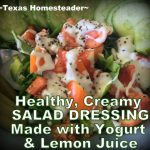 YES, you can actually have a healthy creamy salad dressing! This homemade dressing uses yogurt as a base. #TexasHomesteader