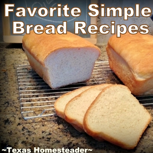 Come see all our favorite bread recipes in one easy-to-read list. Traditional bread, tortillas, biscuits and more! #TexasHomesteader