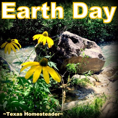 Happy Earth Day, y'all - it's like Mother Nature's Birthday. There are lots of gifts we can give to Mother Nature, come see my faves. #TexasHomesteader