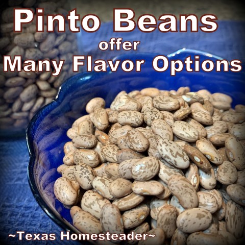 I cooked a whole 2-lb bag of dry pinto beans in my Instant Pot. But we enjoyed them several different ways so we never got bored. #TexasHomesteader