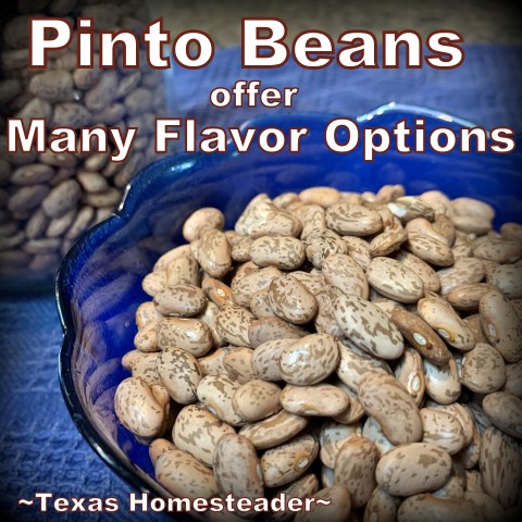 2 lbs pinto discount beans instant pot