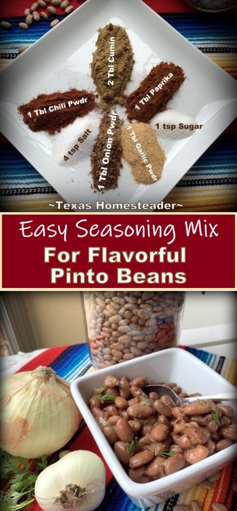 How To Make Pinto Bean Seasoning Blend ~ Texas Homesteader