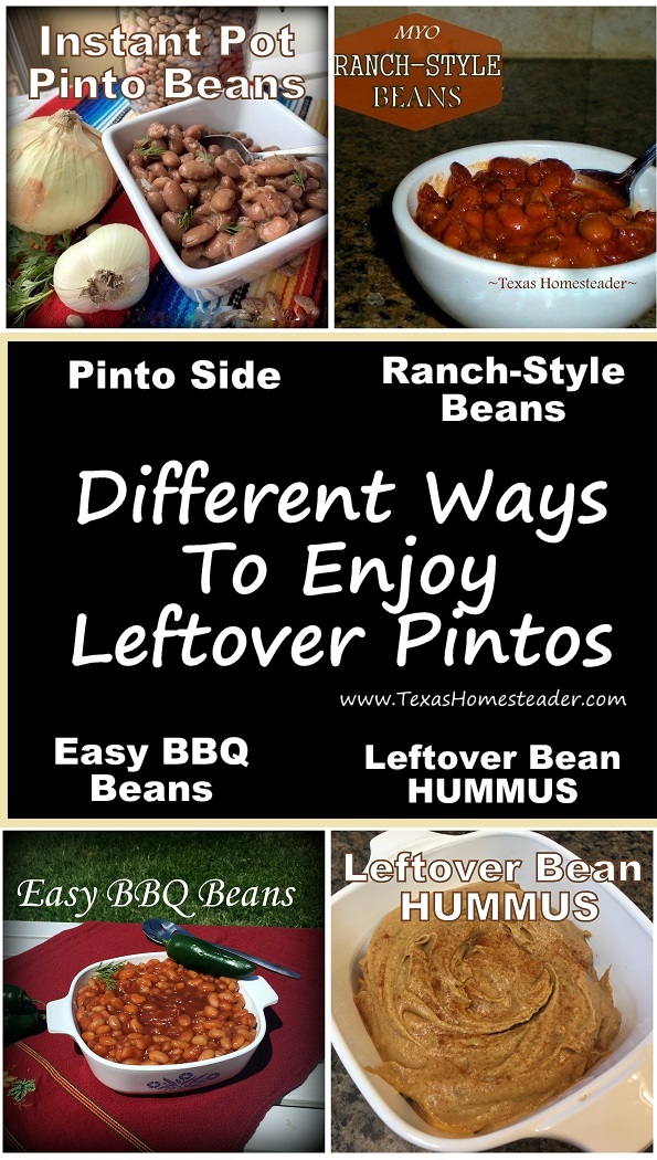 Pinto beans different flavors Leftovers ranch style, bbq, hummus ...