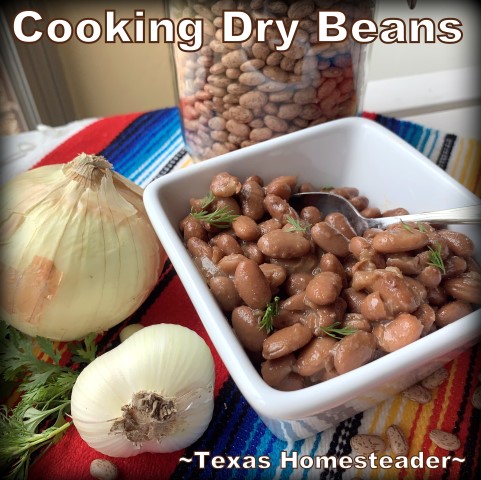 Pinto beans are easy to cook in an Instant Pot pressure cooker. #TexasHomesteader