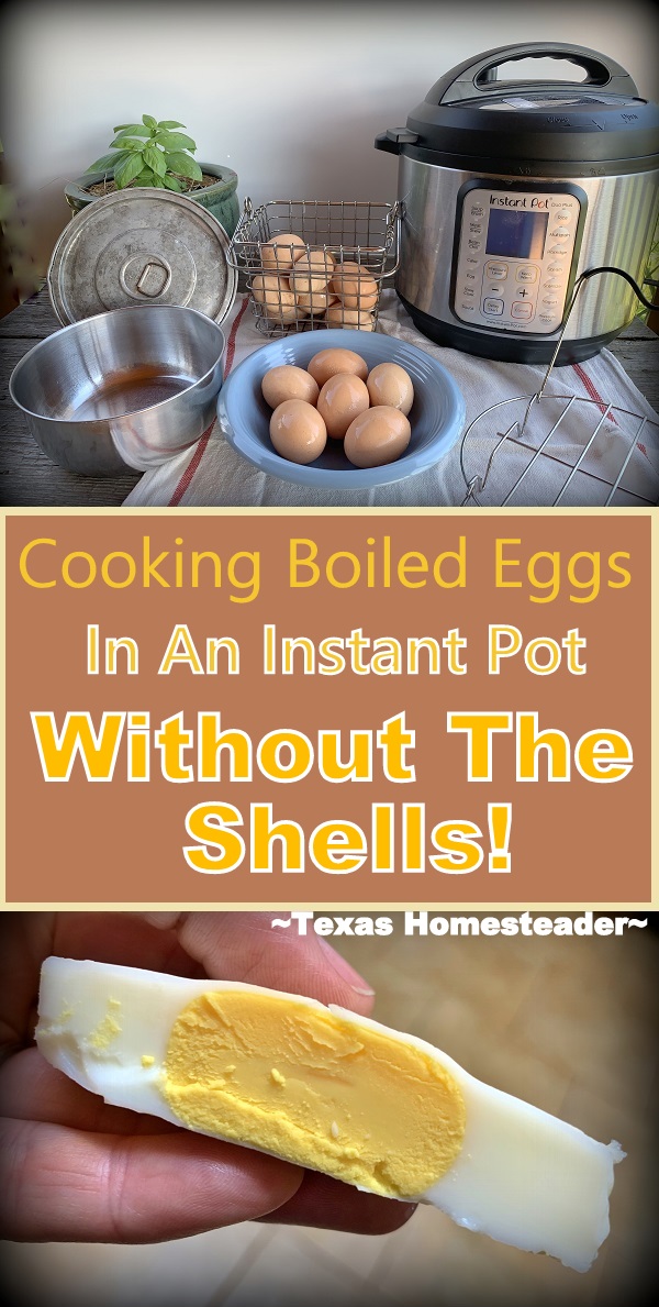 Instant Pot Boiled Eggs Without A Rack - Fast Food Bistro