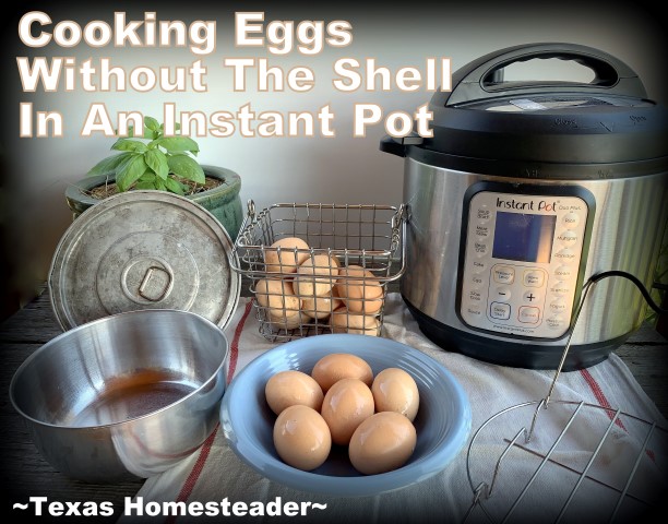 Instant pot eggs online without rack