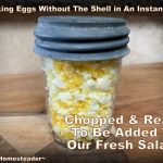 Eggs can easily be cooked in an Instant Pot electric pressure cooker without the shell! #TexasHomesteader