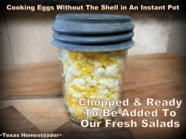 Eggs can be 'boiled' in the Instant Pot and you don't even need to shell them! #TexasHomesteader