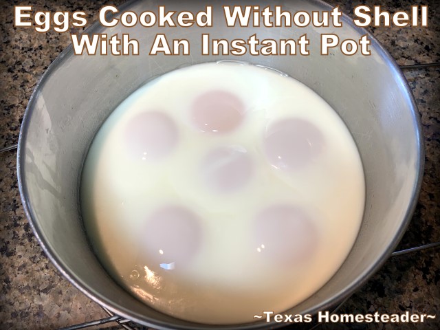 Egg Loaf - boiled eggs without the shells cooked in an Instant Pot #TexasHomesteader