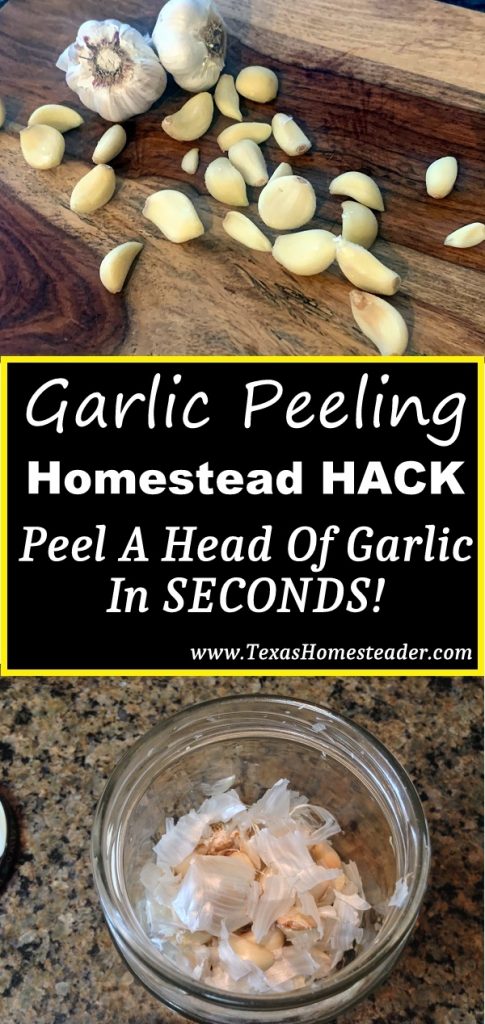 We love garlic, how about you? I have a shortcut to peel garlic too. I can peel a whole head of garlic cloves in seconds. Come see how! #TexasHomesteader