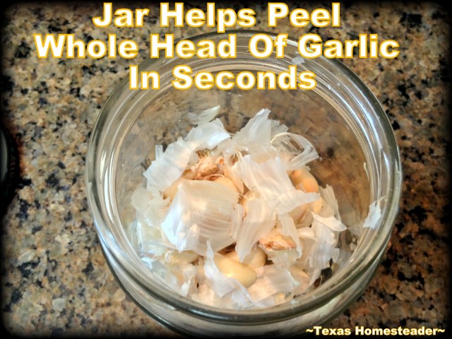 Garlic cloves peeled using glass jar. We love garlic, how about you? I have a shortcut to peel garlic too. I can peel a whole head of garlic cloves in seconds. Come see how! #TexasHomesteader