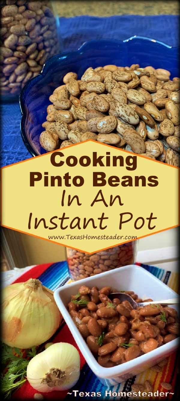 Come see how to easily cook dry pinto beans in an Instant Pot. #TexasHomesteader