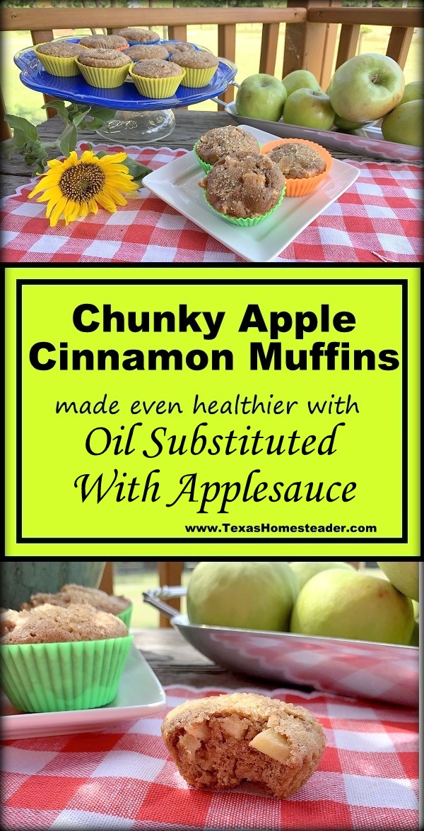 This chunky apple bread is moist & delicious. You can make it into muffins instead if you want. #TexasHomesteader