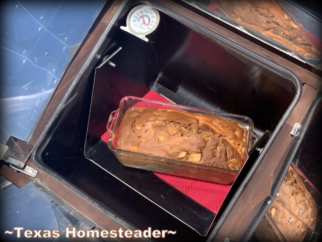 This chunky apple bread is delicious and can be baked into muffins or bread. I like to use my solar oven during the summer months. #TexasHomesteader