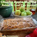 Sweet bread made with chunky apples, cinnamon and applesauce to replace the oil. #TexasHomesteader