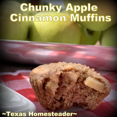 Chunky apple muffins made healthier with applesauce in place of some of the oil. #TexasHomesteader