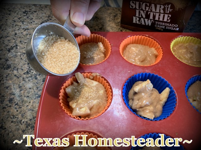 Add coarse sugar to top of muffin batter. These Chunky Apple Cinnamon Muffins are quick & easy, using only standard ingredients. And they're made even healthier with applesauce #TexasHomesteader