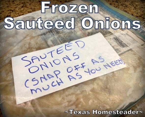 Sauteed onions in a repurposed zippered bag for the freezer. Saute & freeze onions for your own convenience food right in your own freezer. I scored them to make it easier to break off pieces. #TexasHomesteader