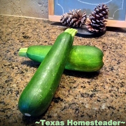 I use garden zucchini to serve healthy meals. #TexasHomesteader