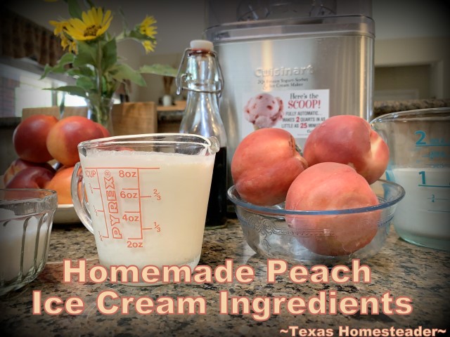 Homemade peach ice cream recipe ingredients. Homemade peach ice cream can go from start to finish in only about 25 minutes. Come see this easier recipe. #TexasHomesteader