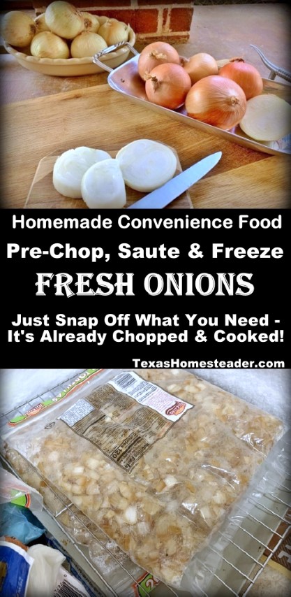 Onions to sauté and freeze as convenience food. #TexasHomesteader