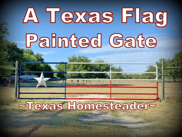 How To Paint A Texas Flag Gate. It was a quick and enjoyable project. And I love the way our gate painted in a Texas flag design looks. #TexasHomesteader