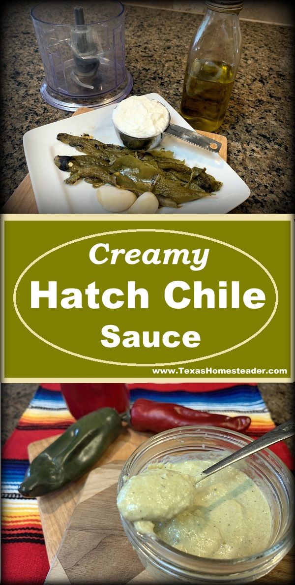 His delicious creamy hatch chile sauce uses only Greek yogurt, roasted hatch chiles, olive oil and garlic. #TexasHomesteader
