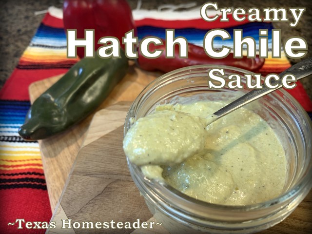 This creamy hatch chile sauce has a healthy yogurt base and whips up in minutes. #TexasHomesteader