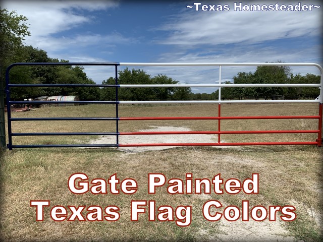 Gate painted Texas flag colors. How To Paint A Texas Flag Gate. It was a quick and enjoyable project. And I love the way our gate painted in a Texas flag design looks. #TexasHomesteader