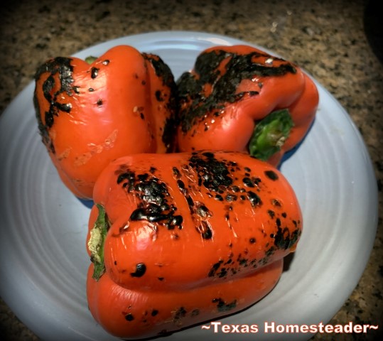 Red bell peppers roasting using a shortcut - roasting on the grate of a gas stovetop. #TexasHomesteader