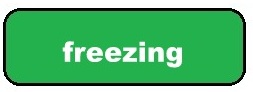 Freezing food tag