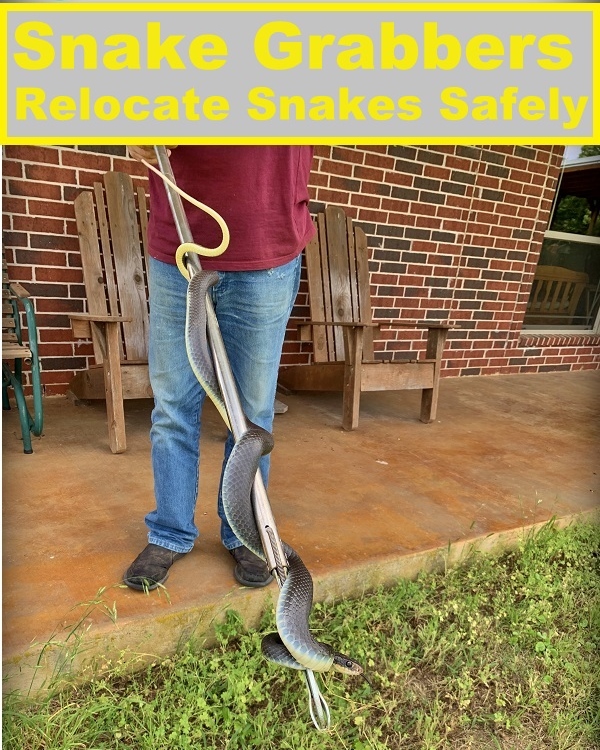 Easily capture and relocate a snake, but do it safely. We've found the 47" snake grabber to be the best tool to relocate snakes safely. #TexasHomesteader