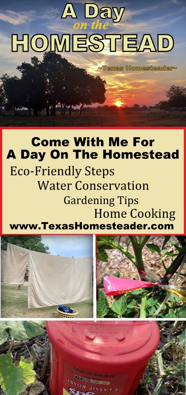 Come with me for a day on the Homestead. The changing seasons are welcome, but not without their trials. #TexasHomesteader