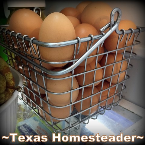 Zero-Waste Life: Styrofoam egg cartons not needed with my own hen's eggs by using this wire basket. #TexasHomesteader