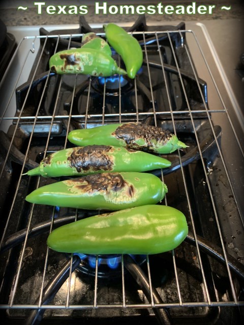 Roasting fresh poblano peppers on a gas stove on a metal grate. #TexasHomesteader